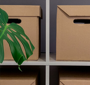 В порядок ликвидации компаний в Беларуси внесены изменения: меньше неопределенности со сроками, больше защиты прав кредиторов