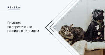 Памятка по пересечению границы с питомцем