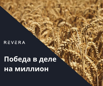 Победа! REVERA выиграла для клиента миллионный иск
